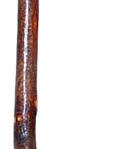 Sumac Root Walking Stick - AVAILABLE FOR PICK-UP ONLY