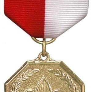 Scouts BSA Activity Medal, Gold -- THIS ITEM IS NO LONGER AVAILABLE