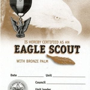 Eagle Scout Bronze Palm pocket certificate (single)