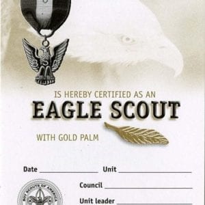Eagle Scout Gold Palm pocket certificate (single)