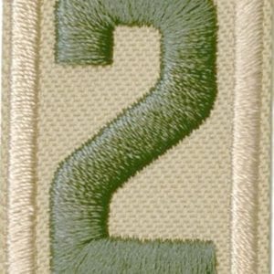 Scouts BSA Unit Numeral 2 - THIS ITEM HAS BEEN REPLACED BY #659222