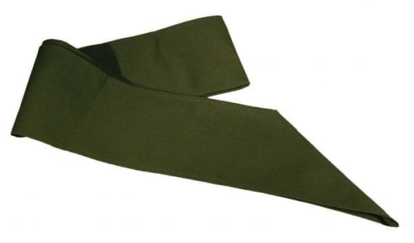 Merit Badge Sash