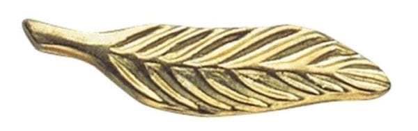 Eagle Scout Gold Palm