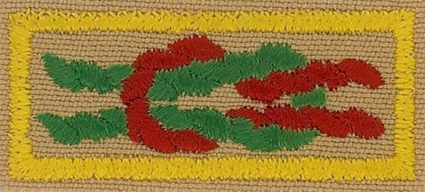 Knot, Arrow of Light Award