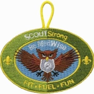 Scoutstrong "Medwise" Emblem -- THIS ITEM IS NO LONGER AVAILABLE