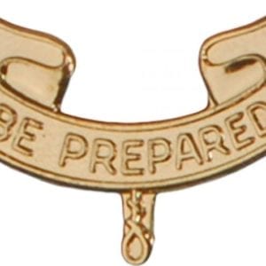 Rank pin - Second Class rank