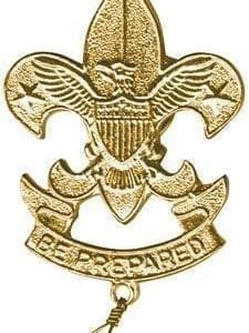 Rank pin - First Class rank