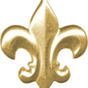 Rank pin - Scout rank