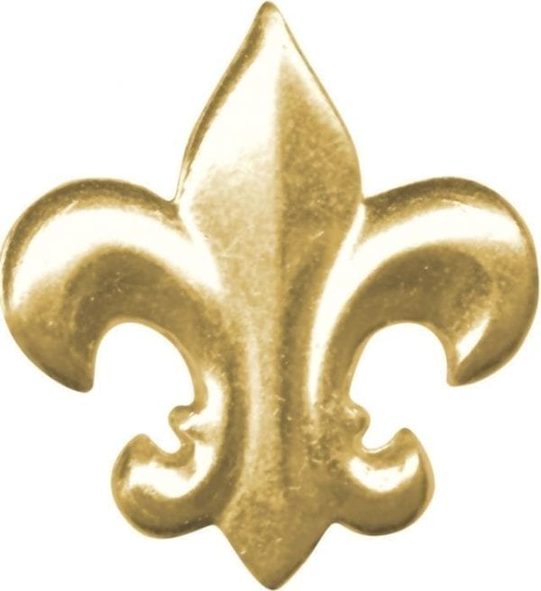 Rank pin - Scout rank