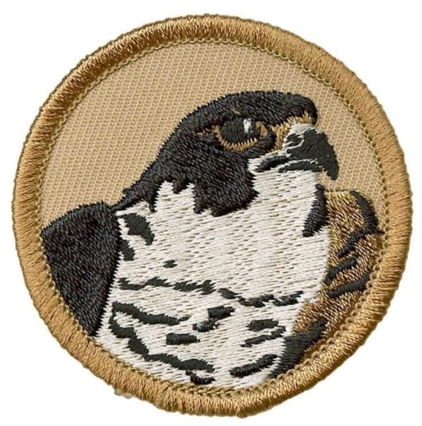 Falcon Patrol patch