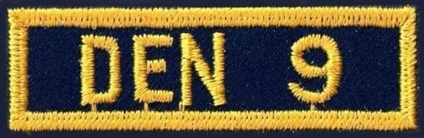 Cub Scout Den Numeral 9
