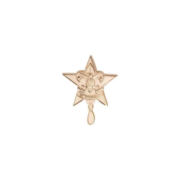 Rank pin - Star rank