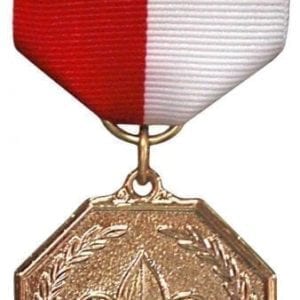 Scouts BSA Activity Medal, Bronze -- THIS ITEM IS NO LONGER AVAILABLE