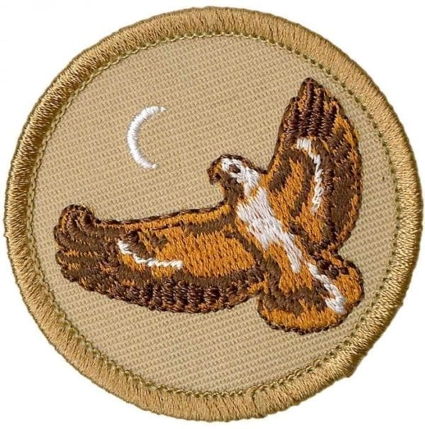 Hawk Patrol patch