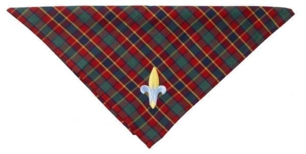 Webelos Cub Scout Youth Neckerchief