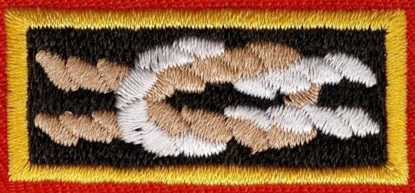 Knot, Scouting Service Award