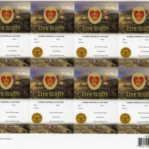 Life Scout Pocket Certificate, 8 per Sheet -- THIS ITEM IS CURRENTLY UNAVAILABLE