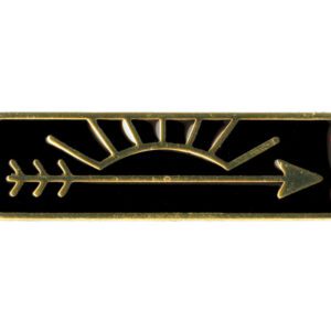 Cub Scout Arrow of Light Award Pin