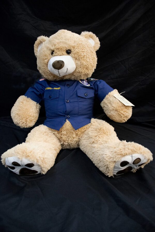 Bear Cub - COLLECTIBLE! - Image 2