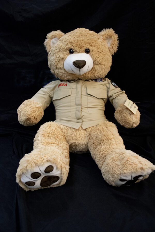Scout Bear - COLLECTIBLE! - Image 3