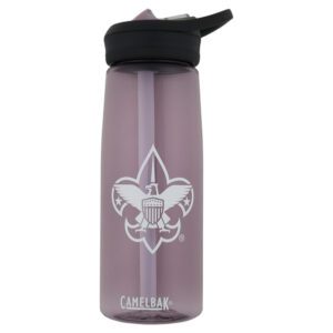 Camelbak Eddy+ 25oz Bottle with Tritan™ Renew - Purple