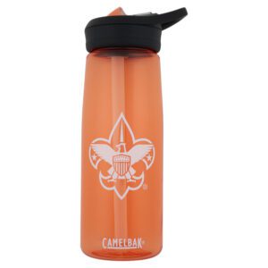 Camelbak Eddy+ 25oz Bottle with Tritan™ Renew - Orange