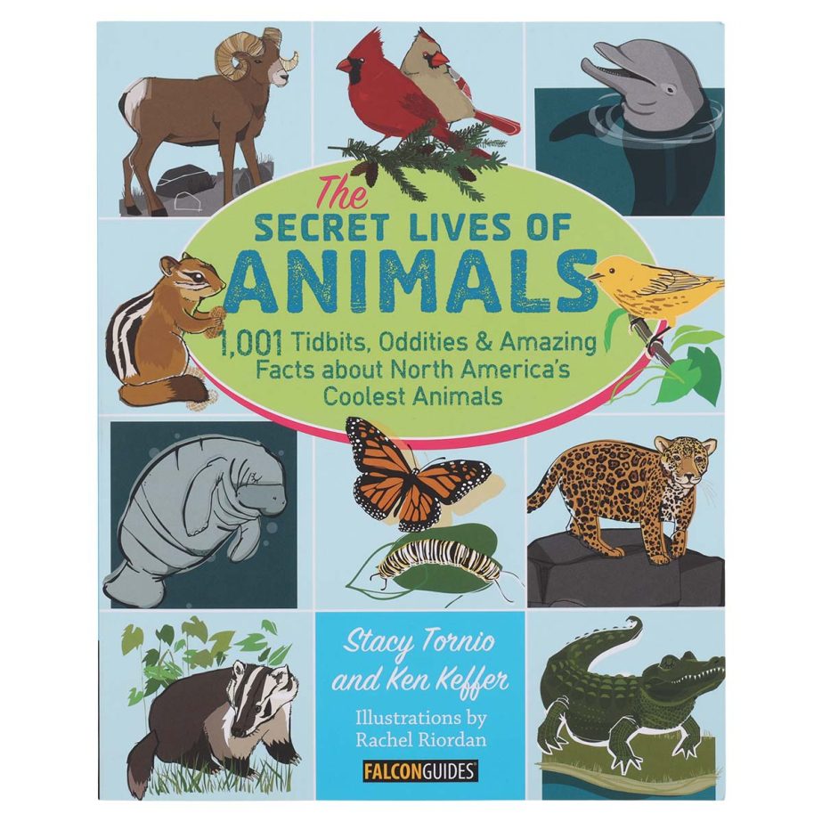 The Secret Lives of Animals