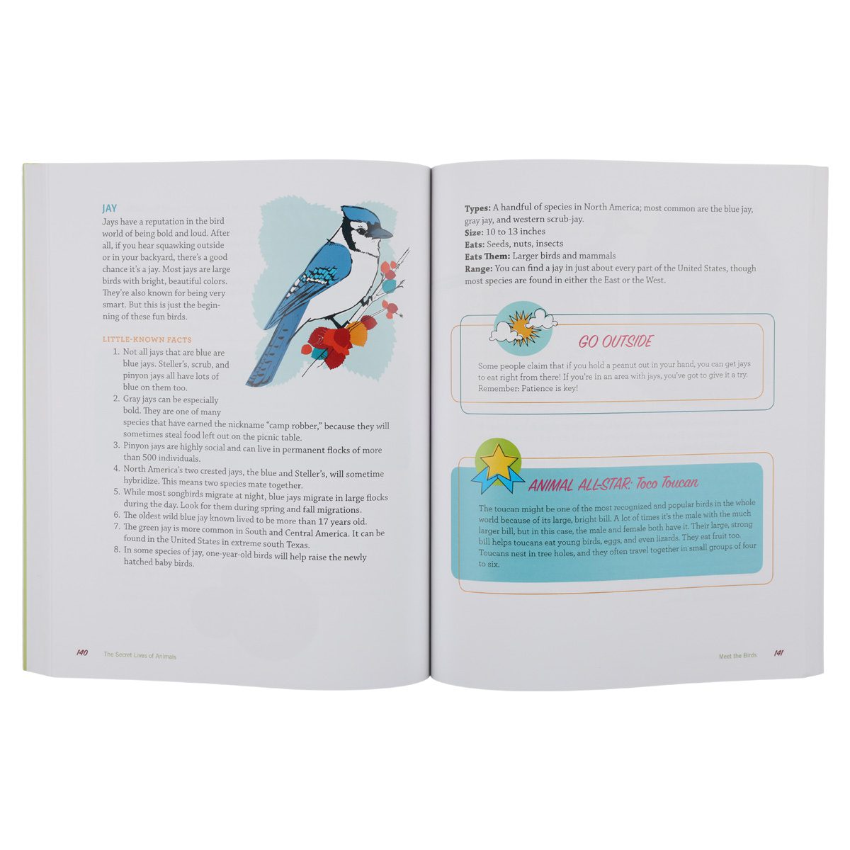 The Secret Lives of Animals - Image 3